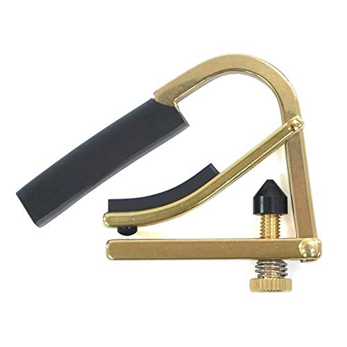 SHUBB (Vu) 5^CvEAR[XeBbNM^[pJ|^Xg C8b