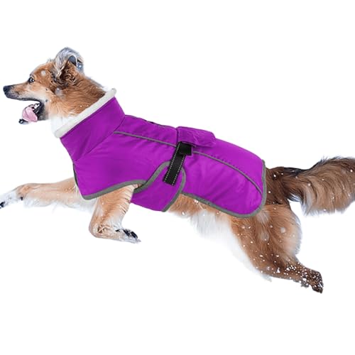 UOSIA ~g^[glbNt[XnR[gh߉\ȖhOqxXgXm[WPbg[h&˃Xgbvt^p