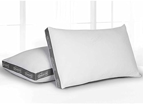 Set of 2, King ClearFresh Odor Control Technology, Luxury Spa Resort Pillow, White