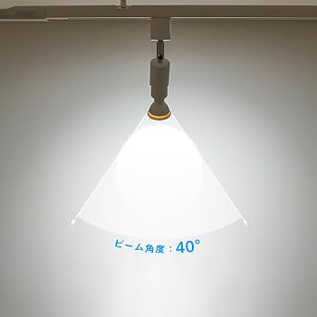 Amazon.co.jp : 共同照明 10個セット ダクトレール用スポットライト