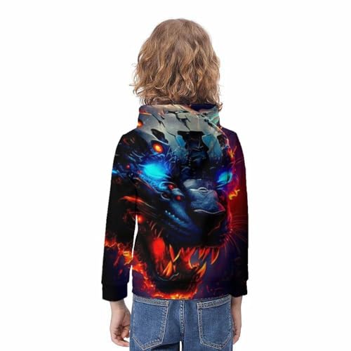 Sweats à capuche impression 3D pull à capuche manches longues veste drôle