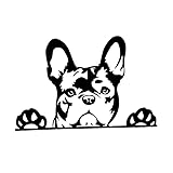 JIFENLI