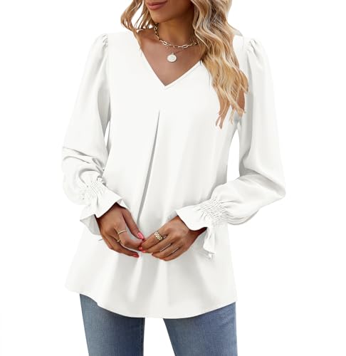 Funlingo Women's 2025 Long Sleeve Tops Dressy Casual V Neck Tunic Shirts Loose Chiffon Work Blouse4