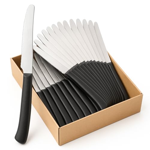 PALUPLUS Set 24 Coltelli da Carne con Punta TONDA in Acciaio Inox, Lunghezza 21 cm, Lama Seghettata e Temprata, Impugnatura Ergonomica, Coltelli da tavola per Bistecca e Pizza, Made Italy -392M