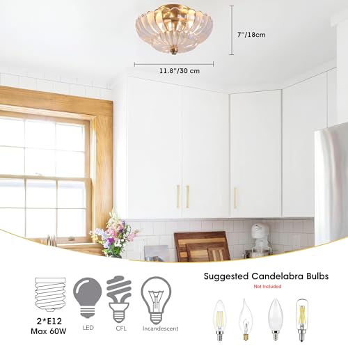 Esther Life Semi Flush Mount Ceiling Light, Scalloped Clear Glass Close To Ceiling Light Fixtures With 2 Lights thumb #1