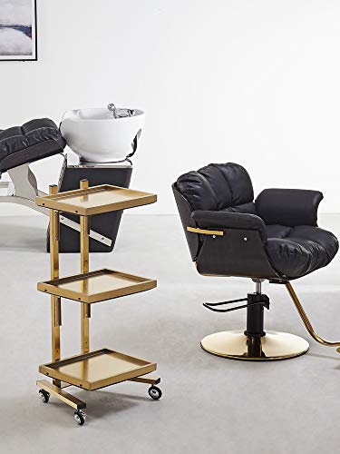 Chariot de coiffure professionnelle mobile à table pliante - 2