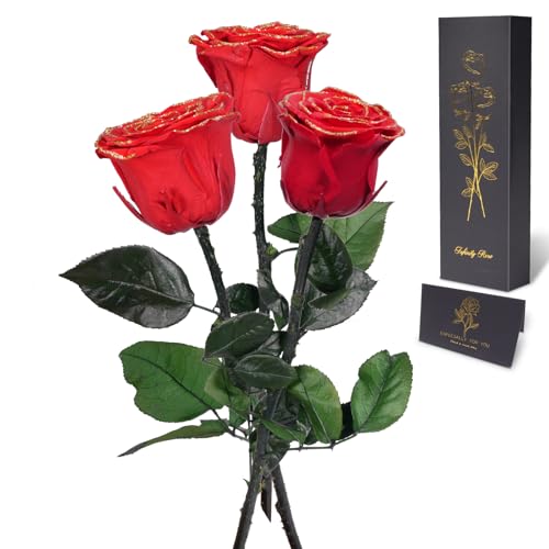 Yamonic Rosa Eterna Regalos para Mujer, Rosa Preservada con Tallo Regalo Mujer, Flores Preservadas Regalo Mujer Navidad Rosa Eterna Natural Preservada Regalo San Valentín Dia de la Madre, 3 Rosas