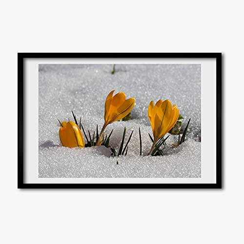 Cadre MDF Tulup 60x40 cm pour habiller un mur vide avec un tableau moderne de crocus