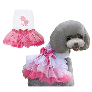 Hundekleid Luxus Welpenrock Hundekleidung Prinzessin Kleider Hochzeitsabendkleid Tutu Rock Rote Lippen Bowknot Kleid für Kleine Hundemädchen Rot XL