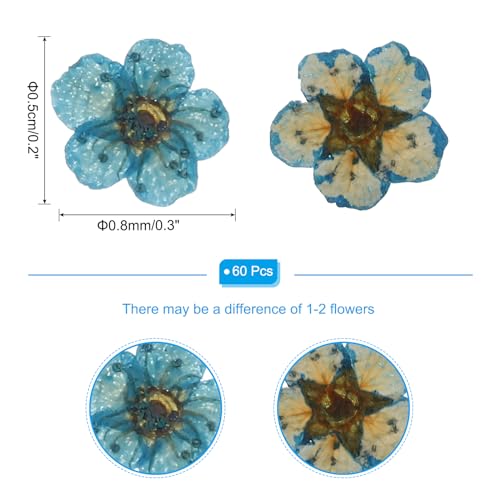 Flores prensadas secas azules para manualidades 60 pcs miniatura 2