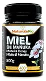 ORIGEN DE LA MIEL DE MANUKA: La planta de Manuka se encuentra principalmente en Nueva Zelanda y en algunas zonas de Australia. En Nueva Zelanda existen amplias zonas recubiertas de plantas de Manuka que se convierte en el hábitat propicio para numerosas especies animales, entre las cuales las abejas, que del néctar de esta planta extraen una miel con excelentes propiedades.