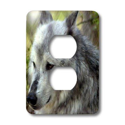 3dRose lsp_45350_15,2 cm Wolf-2 finition brillante pour salon chic - 2