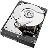 Seagate SkyHawk 10TB Disco Duro de Vigilancia - SATA 6Gb/s 256MB Caché 3.5 Pulgadas Interno (ST10000VX0004) 4