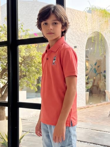 Image of Li'l Tomatoes Boys Sports Polo T-Shirt Polyester Casual Summer Tee | inchGolf Player inch Printed Collar Neck T-Shirt | Lightweight & Breathable Half Sleeve Sports Wear | Stylish Polo Tee | 9-16 Years