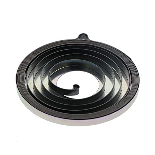 Ryobi/Homelite 638033001 Rewind Spring and Container