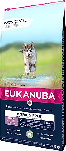 Eukanuba Welpenfutter getreidefrei mit Lamm für große Rassen - Trockenfutter ohne Getreide für Junior Hunde, 12 kg