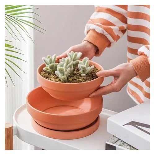 Eviter l'excès d'eau avec le pot succulent plat terre cuite Yofab