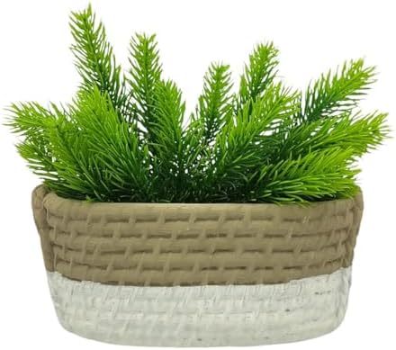 Vaso Cachepot Grande Cimento Modelo Cesta Rustico com Planta