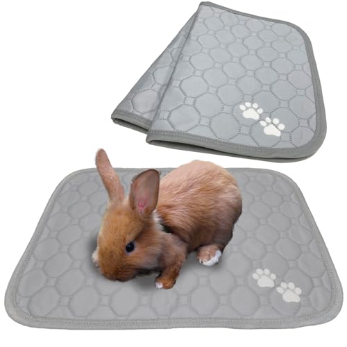ペットシーツ 洗える 2枚セット ペットマット おしっこマット 猫 犬 おしっこパッド トイレシート 防水 滑り止め 漏れ防止 速乾 超吸収 下敷き ペット用 介護用 多頭買い (グレー, サイズXS(45×30cm))