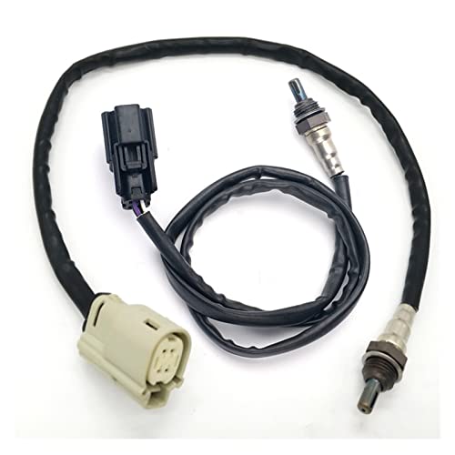 Capteur d'oxygène 32700005 pour Harley Davidson Dyna et Softail 2012-2017