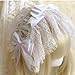 Shurhome Cosplay Hair Hoop Ruffled Headpiece for Party Birthday Hairbands Stage Headwear Photo Props Lace Sweet Fashion