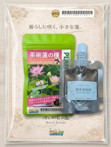 （水草の種） 茶碗蓮の種【発芽処理済み／削り不要】8粒＋発芽促進剤＋育成説明書付き｜室内OK｜初心者向け 簡単栽培 ｜ビオトープ・メダカ・睡蓮鉢・自由研究に Coco,sshop - COCO’SSHOP - 商品画像