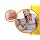 Amazon.com : Bath Time Kneeling Pad Blue : Health & Household
