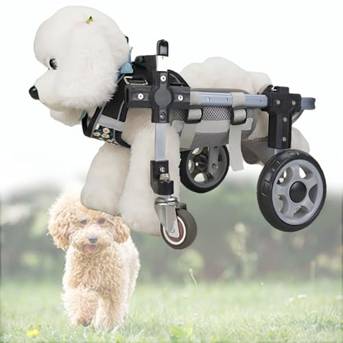Fauteuil Roulant pour Chien Paralysie Pattes Arrière Solution Chariot Réglable M