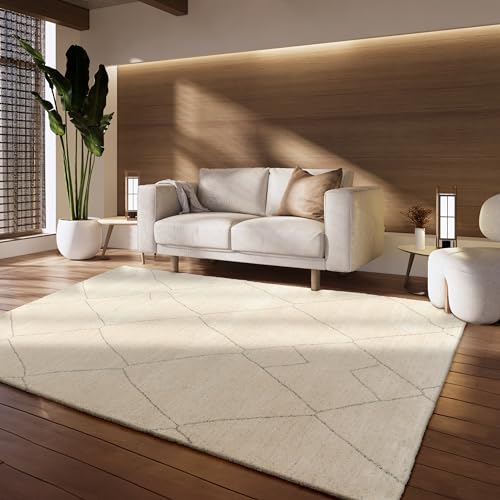 Paco Home Tapis Salon Chambre Look berbère Design scandinave Unicolore Motif Abstrait 3D Moderne Haute densité de Poils, Dimension:160x230 cm