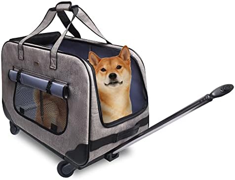 allwinds dog first aid