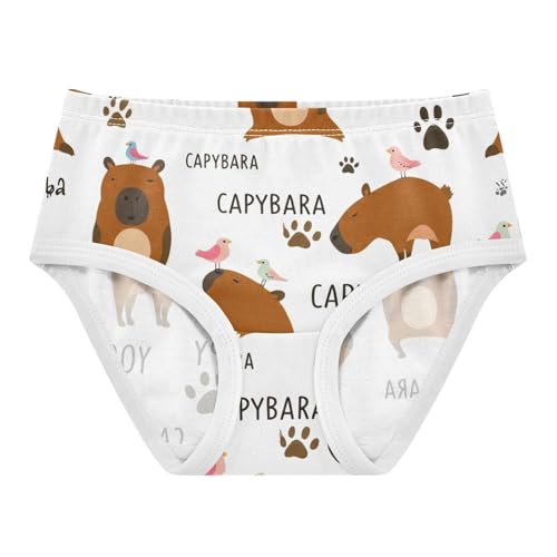 Girls Underwear Toddler 2t Cotton Cute Panties Girl Colorful Briefs Girls Undies Cute Capybaras Yoga Poses
