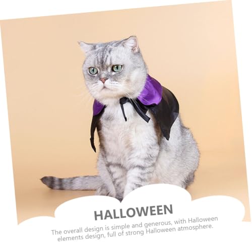 Disfraz Halloween para perro con capa y sombrero miniatura 6
