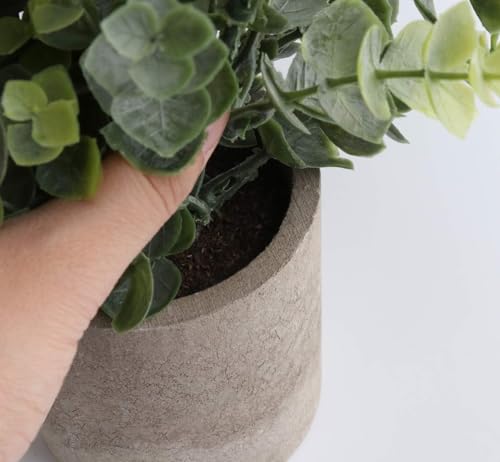 ilauke 3 Mini Plantas Artificiales Decorativas en Maceta de Eucalipto de Plástico, Plantas de Romero Sintético para Hogar, Jardín, Oficina, Balcón, Ventana, Escritorio, Decoración de Habitación - imagen 6