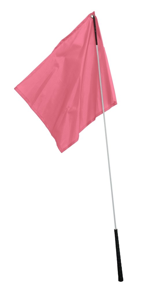 Flag Training Stick Lime