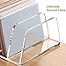 2-Tier Acrylic Mail Sorter, Clear File Organizer with Dual Compartments, Transparent Envelope Holder for Letters, Bills & Papers for Home Office Desk