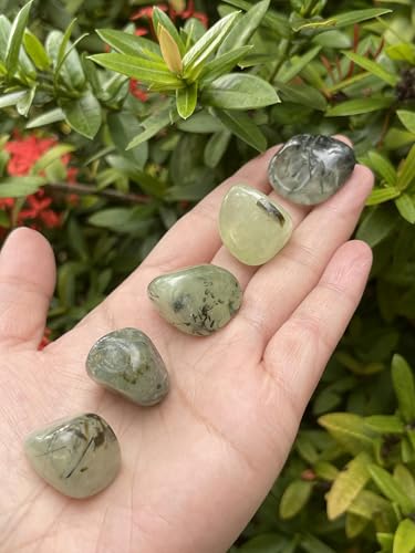 GAF TREASURES Prehnite with Rutile Tumbled Stones, Grade A Quality, 5 Pcs, Size 0.8" - 1", Polished Natural Gemstones for Healing Crystals