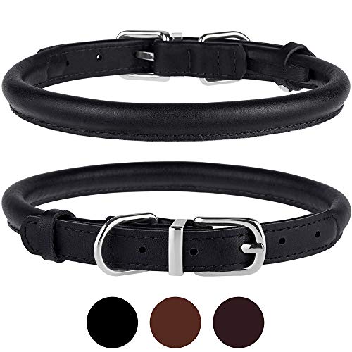 Best Durable Collar For Dogs