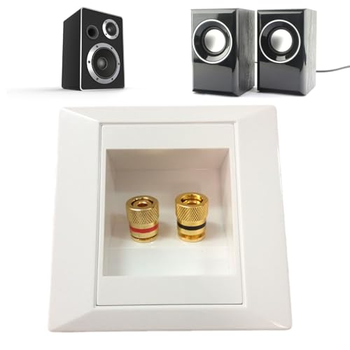 Placa De Pared: Placa De Pared para Altavoz, Plaċa De Conector Tipo Banana, Panel De Audio De 2 Puertos, Caja De Conexiones De Cables De Altavoz,Pląca Ḋe Pãred AV, Toma De Audio para Cine En Casa, Po