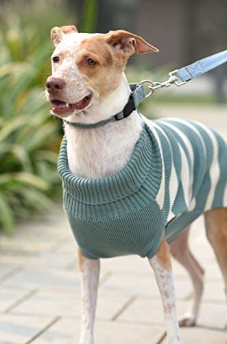Mutt of Course Warm Regards Emerald Sweater for Dogs (Small) (B08NH7L4H8) Amazon Price History, Amazon Price Tracker