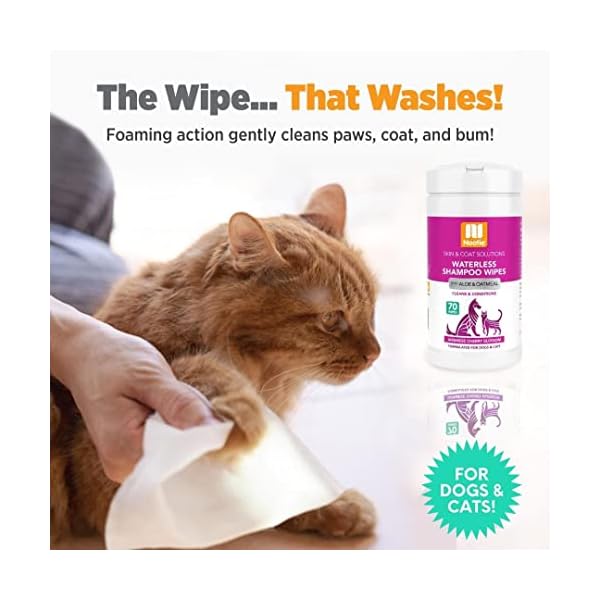 Nootie Wasserlose Shampoo-Tücher für Hunde und Katzen, langanhaltender japanischer Kirschblütenduft, verkauft in über 10.000 Tierkliniken und Tiergeschäften weltweit, 70 Stück – Bild 6
