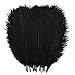 Bseash Natural Ostrich Feathers Bulk 12-14 inches (30-35cm) for Wedding Party Centerpieces, Flower Arrangement and Home Decoration (Black 50pcs)