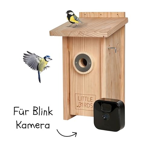 Little Birds Kamera Nistkasten (Kamera Nicht enthalten) für „Blink“ Kamera I ökologisches Massivholz I Katzen- und Spechtschutz I Brutkasten I Kamera Vogelhaus I kein Strom/Kabel nötig