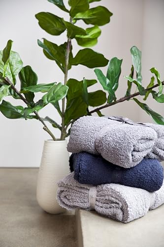 Barefoot Dreamsยฎ CozyChicยฎ Throw, Dove Gray, 54'x72'