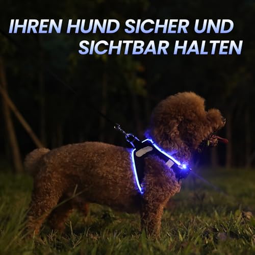 PcEoTllar Hundegeschirr Leuchtend, Leuchtgeschirr LED Aufladbar & Reflektierendes, Beleuchtetes Leuchtgeschirr für Welpe Klein Mittlere Hund, Atmungsaktiv Leucht Geschirr, Schwarz Blau-XS