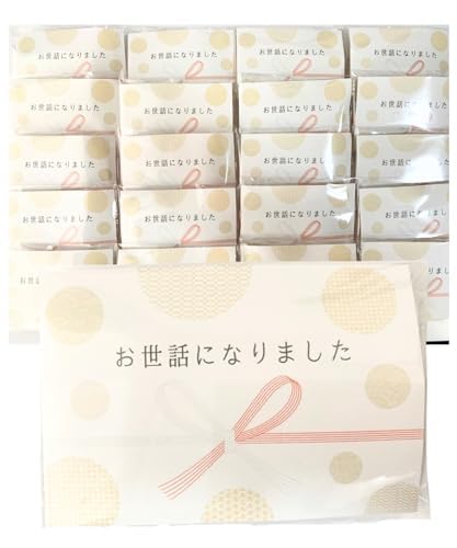 20܃Zbgv`Mtg [^X rXPbg2  I zCgf[̂ԂMtg o^Cf[ LOi  َqZbg  A (ɂȂ܂)