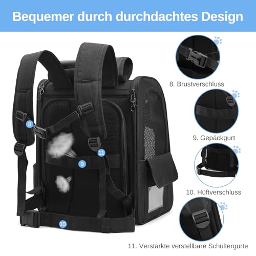 Dogat Erweiterbar Katzenrucksack mit Netzfenster, Tragbare und Faltbare Haustier Rucksack mit Innerer Sicherheitsleine und Haustierunterlage für Katzen Hunde bis 17 lbs (8 kg) Wandern, Walken(Schwarz)