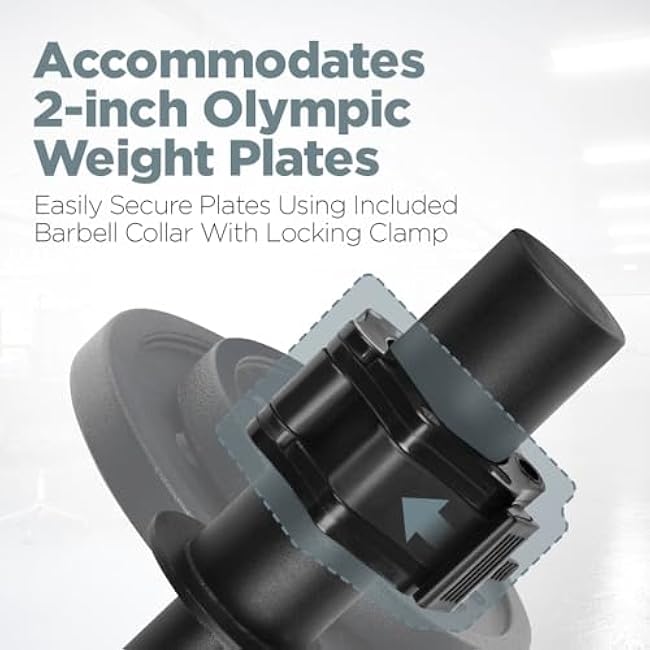 LoGest Wrist Strengthener, Forearm Exerciser - Option of Standard Plate 1 Inch or Olympic Plate 2 Inch With a Collar Hand Developer Arm Grip Workout Strength Trainer for Starter and Pro - Workout Equipment Home Gym Forearm Strengthener