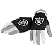 NFL Oakland Raiders Knit Gloves, Black, One Size