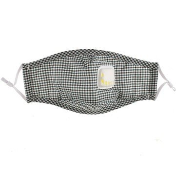 3NH N95 Mask Activated Carbon Anti Formaldehyde Breathing Valve Masks- Green