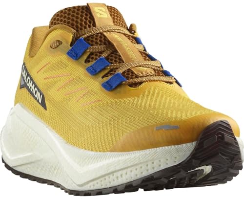 Chaussures Running Homme Salomon Aero Blaze 3 Grvl Spicy MustardVanilla - vue 6